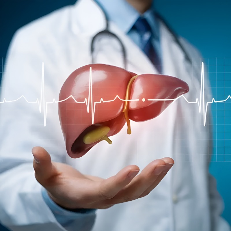 Liver Transplant